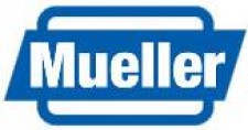 Mueller Steam